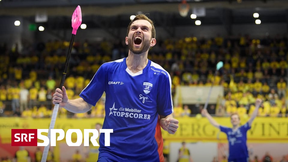 9:5 Success in the final – the outstanding Sjögren leads Zug to win the cup against Rechenberg – Sports