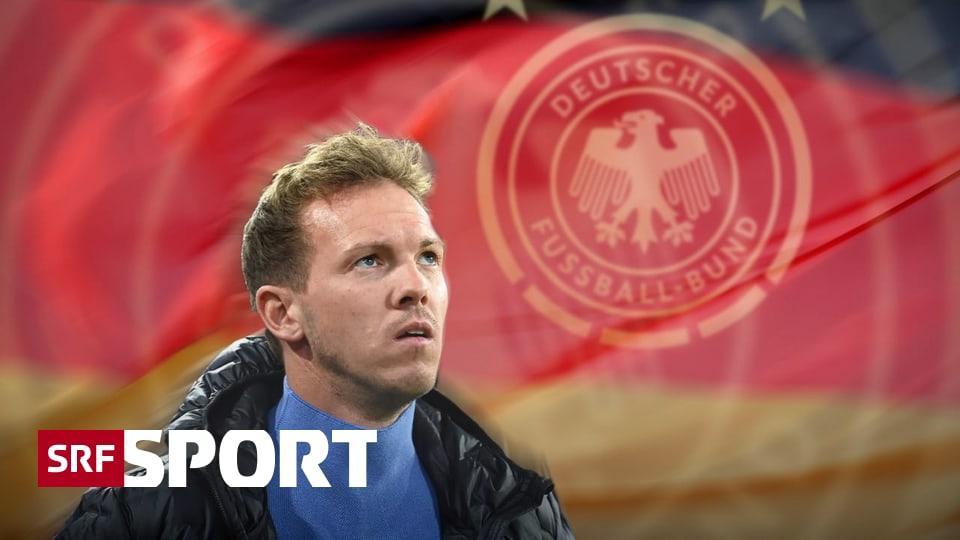 Flick’s successor in the German League – Nagelsmann must lead Germany towards success in the European Championship on home soil – Sports