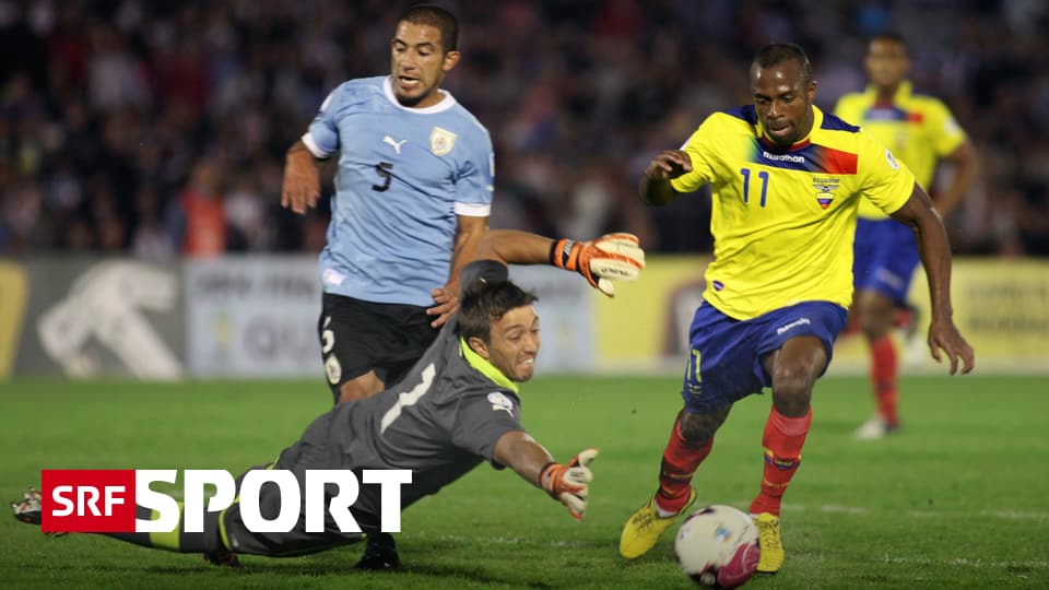 FIFA WM Teams - Ecuador: Das Kader - Sport - SRF