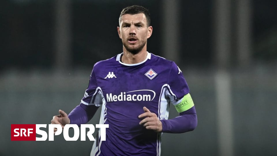 Internationale-Fussball-News-Schalke-holt-Dzeko-Real-umsatzst-rkster-Klub