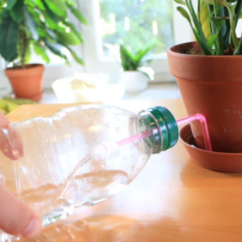 Wenn Plastik klebrig wird Trick 77 SRF