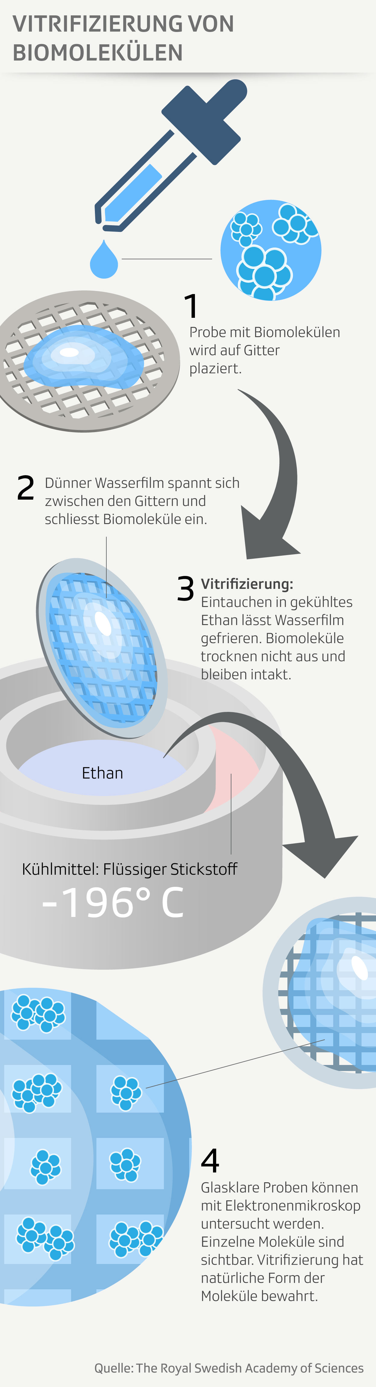 Ablauf einer Vitrifizierung