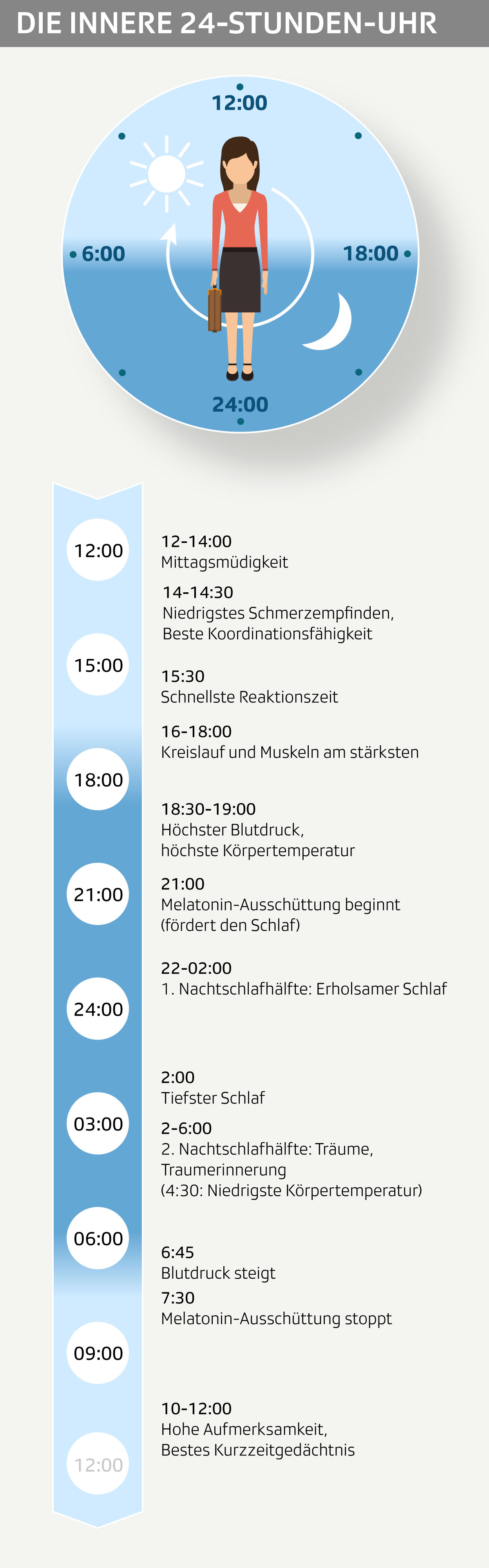 Infografik zur Funktionsweise der inneren Uhr
