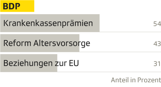 Diagramm der drängensten Probleme für BDP-Wähler