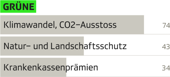 Diagramm der drängensten Probleme für GRÜNE-Wähler