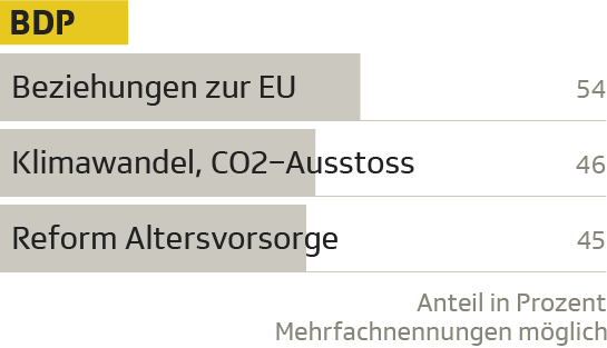 Die drängendsten Probleme nach Parteipräferenz