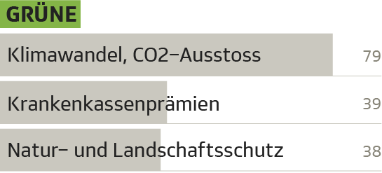 Die drängendsten Probleme nach Parteipräferenz