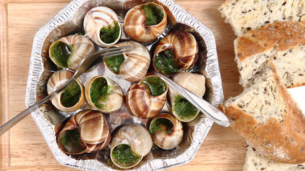 Schnecken: Delikatesse für Feinschmecker - A point - SRF